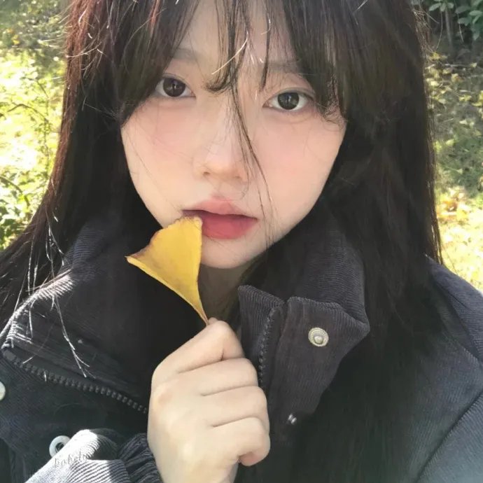 美人记·昭君